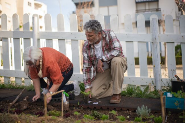 Elderly couple gardening. The woman looks like she's affected by varicose vein symptoms